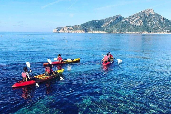 Escursione guidata in kayak e trekking da Sant Elm a Sa Dragonera
