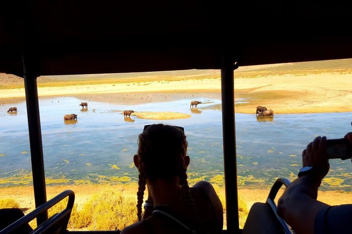 Private Return Transfer To Aquila African Big 5 Safari From Cape Town - Full Day