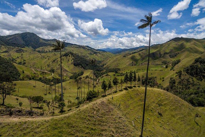 Excursion d'une journée à cheval dans la vallée de Cocora et le Salento