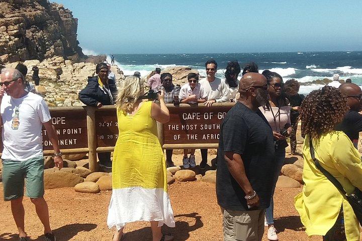 Excursión compartida a los pingüinos del Cabo de Buena Esperanza Chapman's Peak desde Ciudad del Cabo Día completo