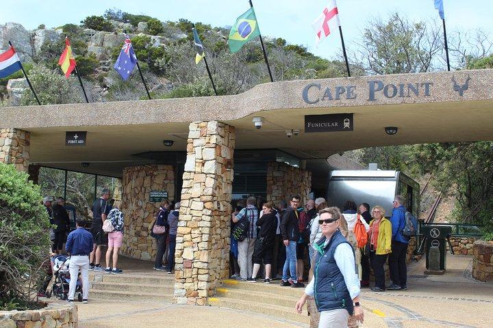 Excursión compartida a los pingüinos del Cabo de Buena Esperanza Chapman's Peak desde Ciudad del Cabo Día completo