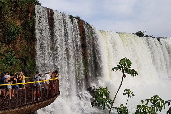 バードパーク訪問付きイグアスの滝ブラジルツアー