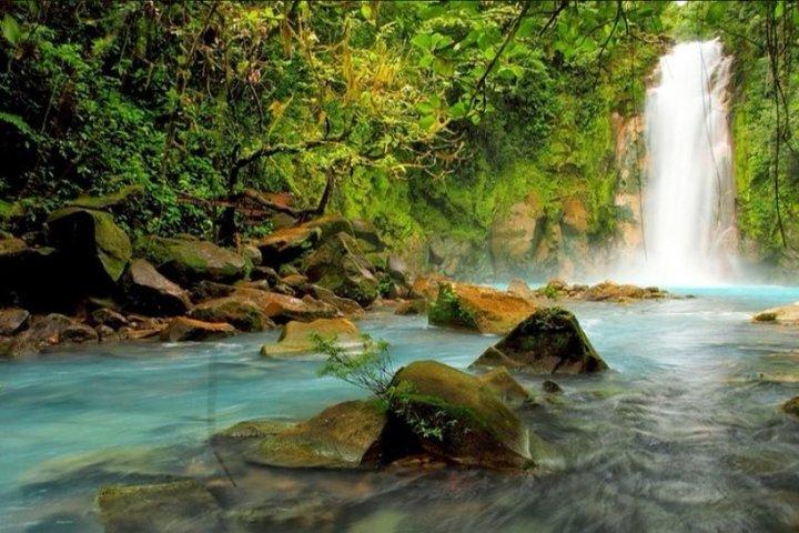 Rio Celeste vandfald og sloth observation tur fra Guanacaste