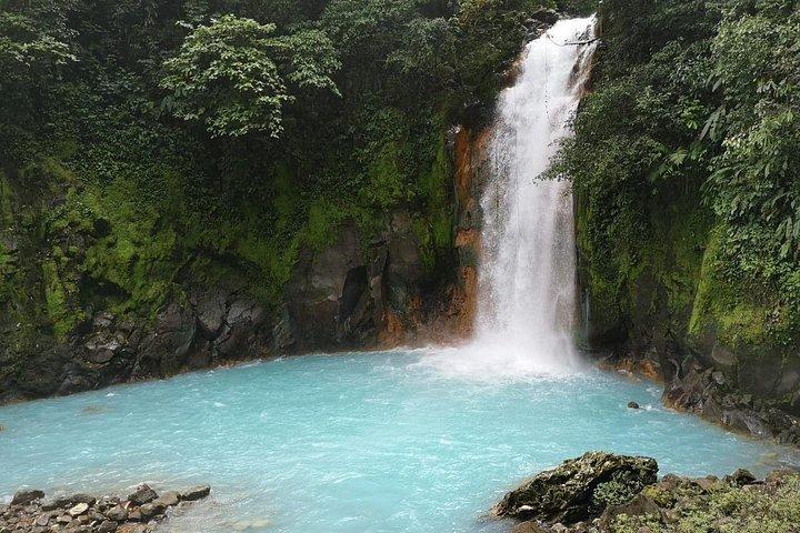 Río Celeste Waterfall and Sloth Watching Tour From Guanacaste