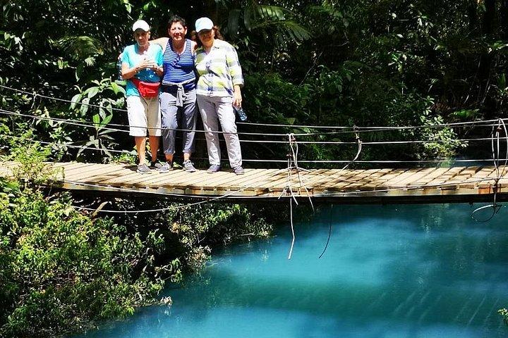 Río Celeste Waterfall and Sloth Watching Tour From Guanacaste