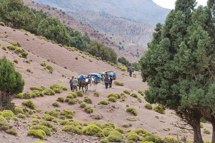 マラケシュ: 2日間の高アトラス山脈と3つの谷間のトレッキング