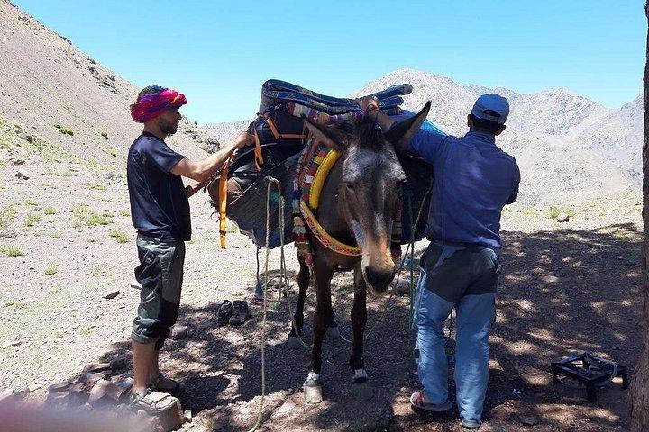 マラケシュ: 2日間の高アトラス山脈と3つの谷間のトレッキング