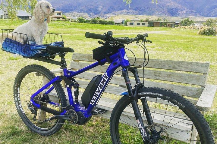 CHP Bike Rentals Cromwell