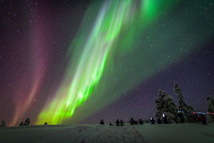 オーロラハント by ATV - Rovaniemi