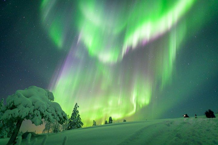 Jæger nordlys af Snowmobile - Rovaniemi