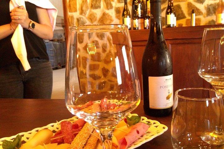 昼食付きワインテイスティングプライベートデイ体験、古代コリント - 古代ネメア
