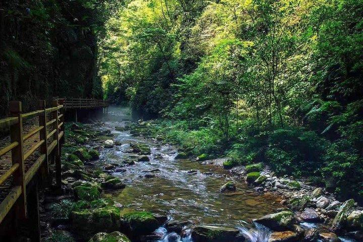 張家界大峡谷とガラス橋のチケット