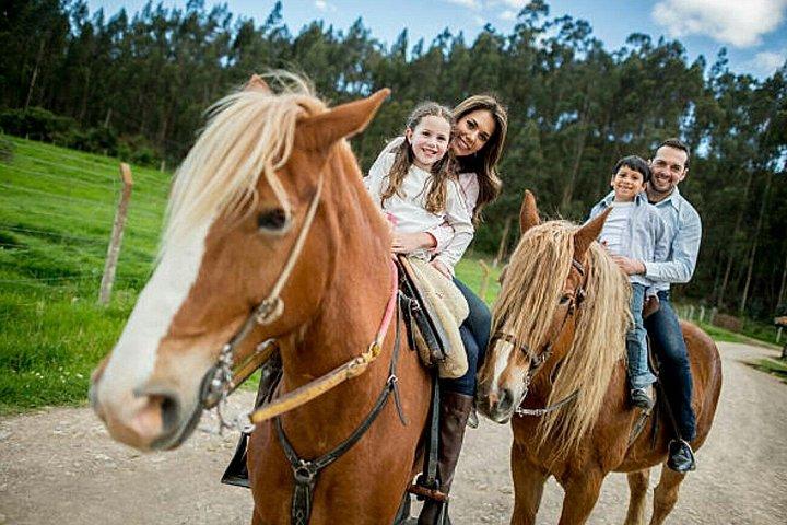 Agadir 2-Hour Horse Riding Experience with Pickup