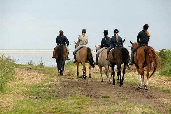 Agadir 2-Hour Horse Riding Experience with Pickup