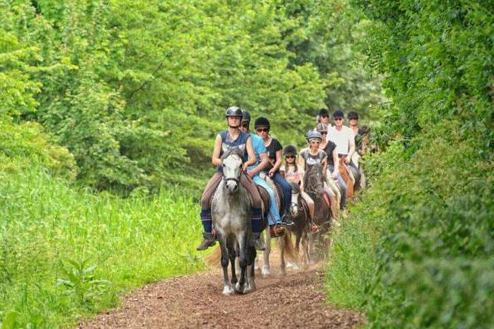 Agadir 2-Hour Horse Riding Experience with Pickup