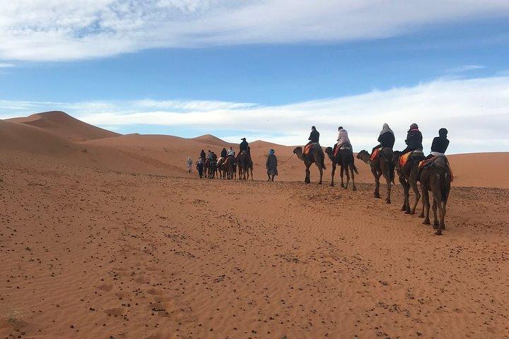 Tour condiviso di 2 giorni da Fes a Marrakech attraverso il deserto del Sahara in Marocco