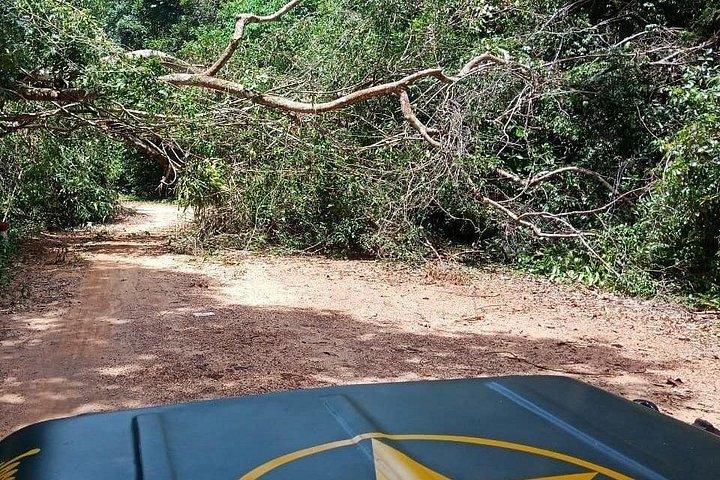 フーコック島の北を探索する古典的な陸軍ジープで
