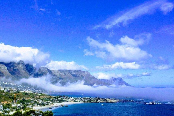 Cape Point Penguin Tour