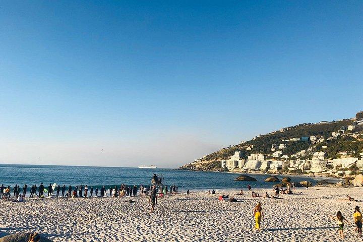 Cape Point Penguin Tour