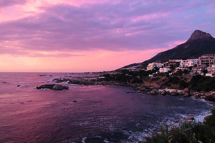 Cape Point Penguin Tour