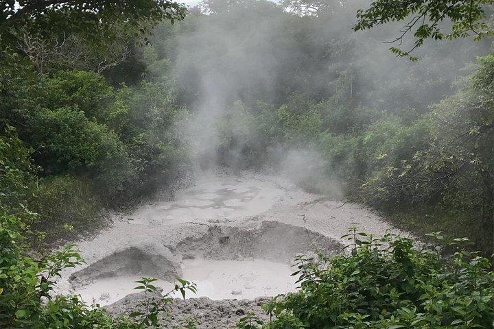 リンコン デ ラ ビエハ火山ハイキング、マッド バス、温泉