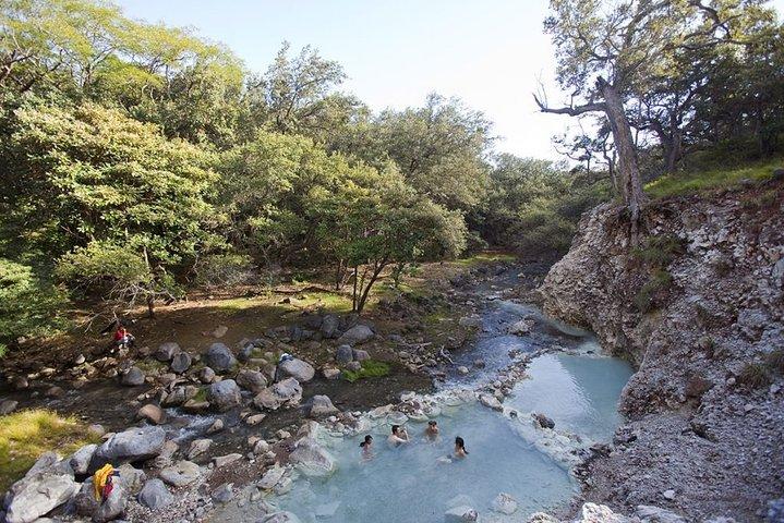 リンコン デ ラ ビエハ火山ハイキング、マッド バス、温泉