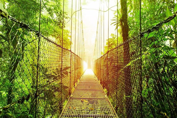 3 i 1 Eco Tour Rain Forest Aerial Tram, River Cruise & Nature Walk Private Tour