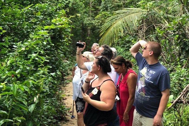 Puerto Limon Highlights. 6 in 1 combo Tour. Shore Excursion