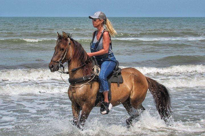 Horseback riding tour in a Colombian Paso fino horse
