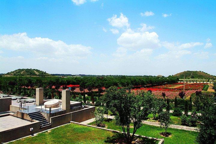 Private Tagestour in Xian: Hanyangling Museum, Kleine Gänsepagode, Xingjiao Tempel