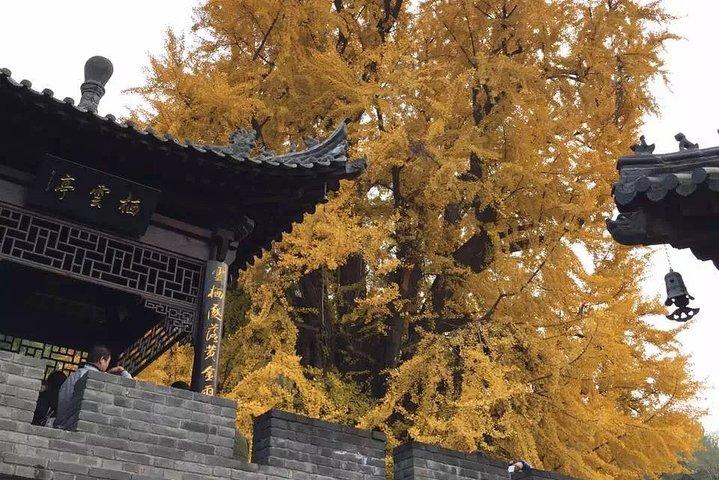 Private Tagestour in Xian: Hanyangling Museum, Kleine Gänsepagode, Xingjiao Tempel