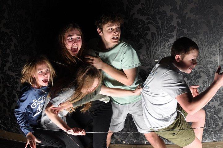 Fear Factory Queenstown
