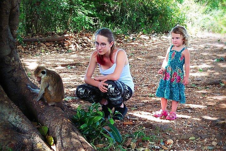 限定3 - ウダワラウェ国立公園での1時間のプライベートジープサファリ