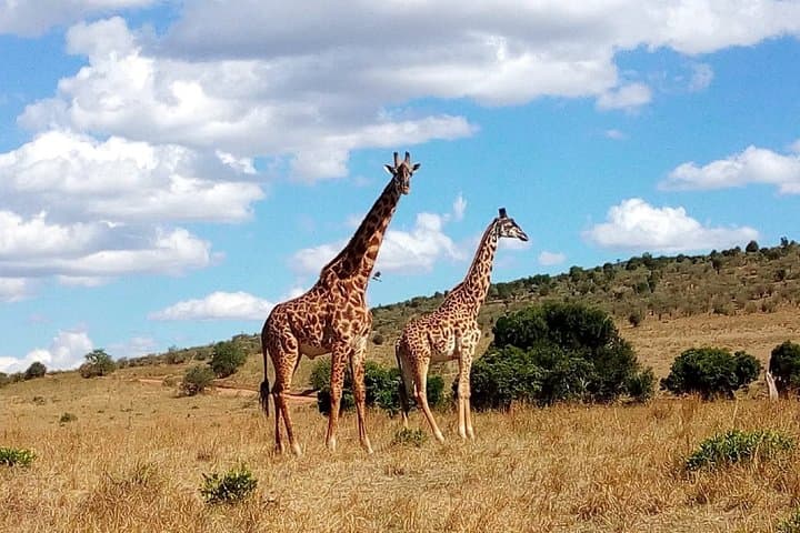 Lake Naivasha with Crescent Island 2-Day Safari from Nairobi