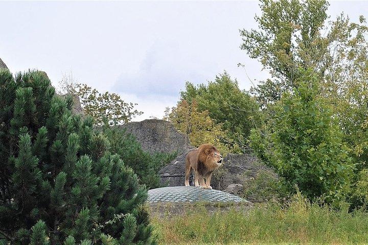 スキップ・ザ・ラインオリワ動物園グダンスクツアー＆プライベート・トランスポート