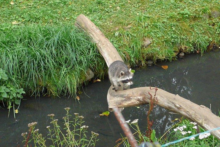 スキップ・ザ・ラインオリワ動物園グダンスクツアー&プライベート・トランスポート