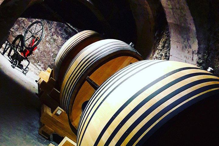 5 days Basque Country & Rioja wine region
