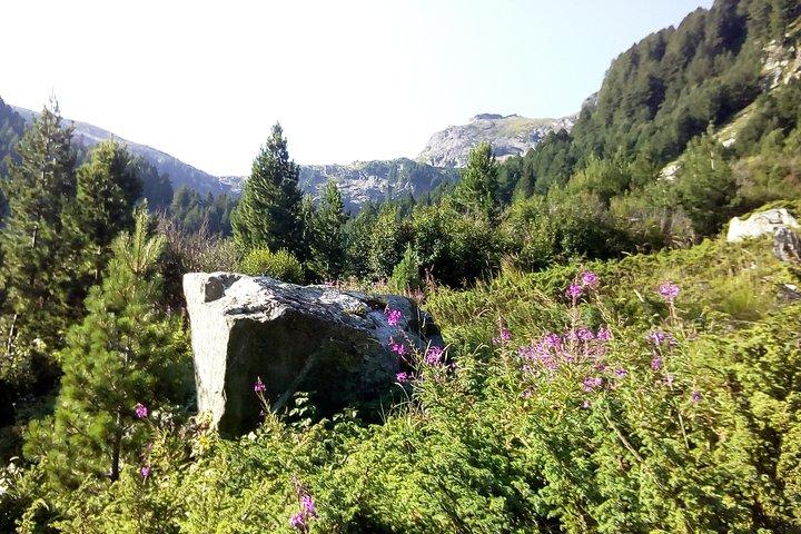 Trekking privado nas montanhas Rila e Mt Mousala de Sofia