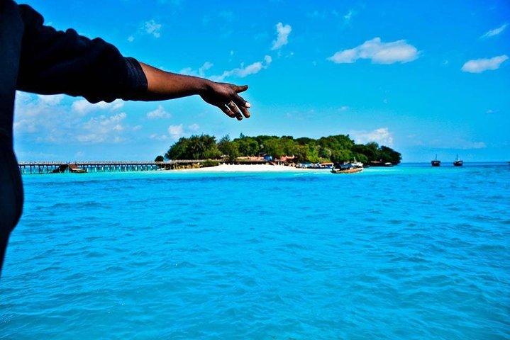 Zanzibar Private ganztägige Blue Lagoon Tour mit Sandbank-Picknick