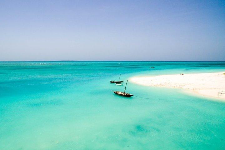 Halve dag dolfijn- en snorkeltocht op het eiland Mnemba Zanzibar