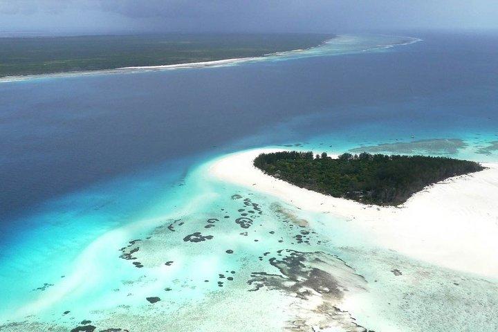 Halve dag dolfijn- en snorkeltocht op het eiland Mnemba Zanzibar