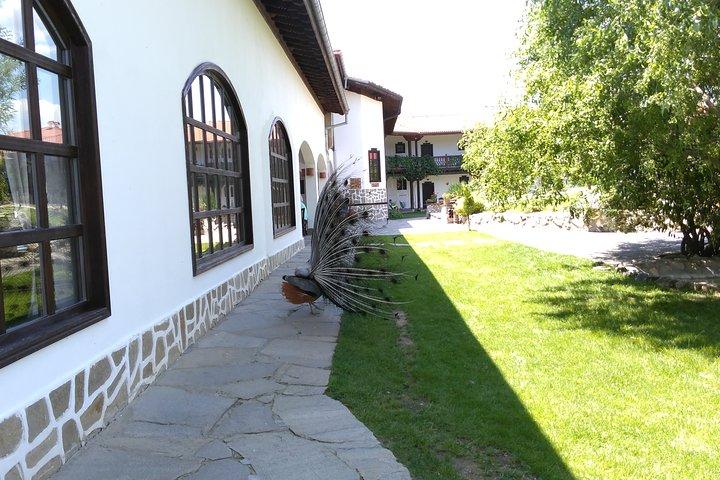 Spa privata di storia antica e vino di Sofia