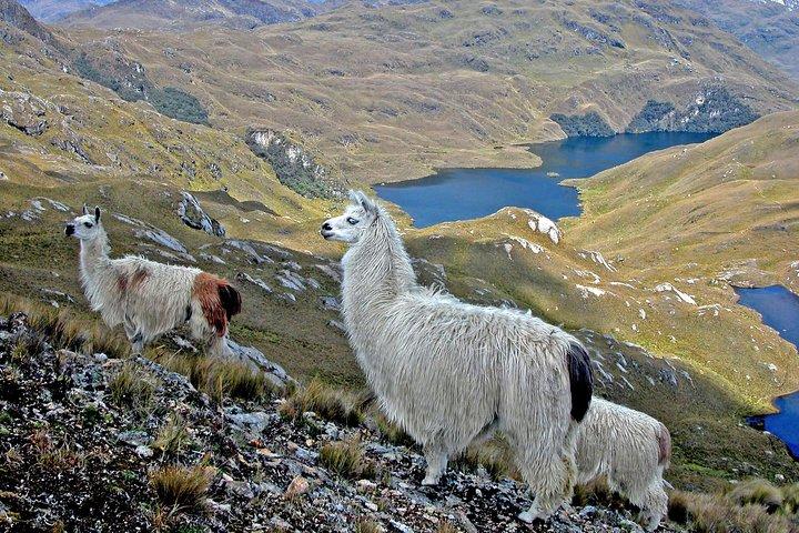 Private ganztägige Angeltour ab Cuenca