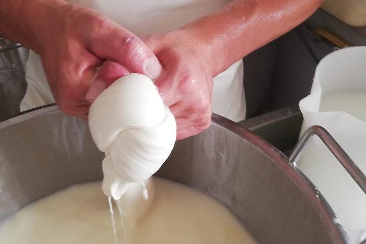 Visite privée de fabrication de fromage dans la Valle d'Itria avec dégustations
