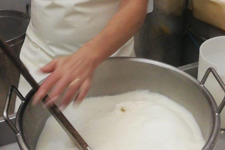 Visite privée de fabrication de fromage dans la Valle d'Itria avec dégustations