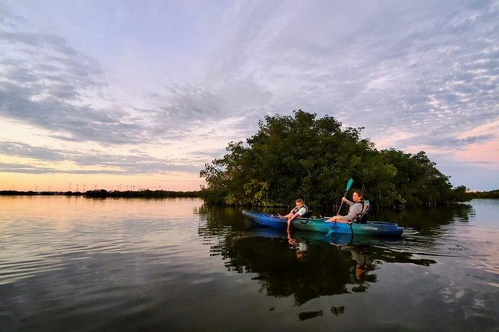 Excursão de caiaque ao pôr do sol do túnel de mangue de mil ilhas com caiaque de cacau!