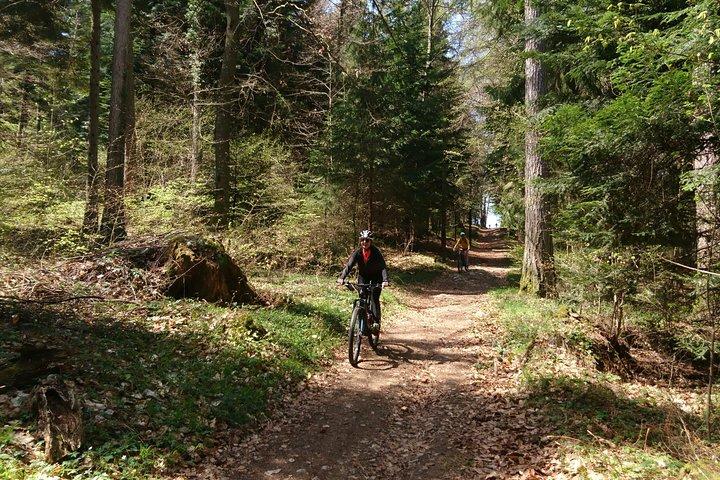 Electric mountain biking in Annecy