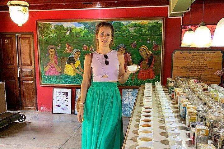 スリランカの8日間ガイド付き文化小グループツアー