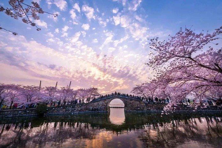 南京発、専用車で巡る無錫セルフガイド日帰りツアー