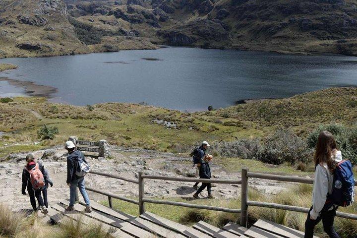 Shared Cajas National Park Full Day Tour